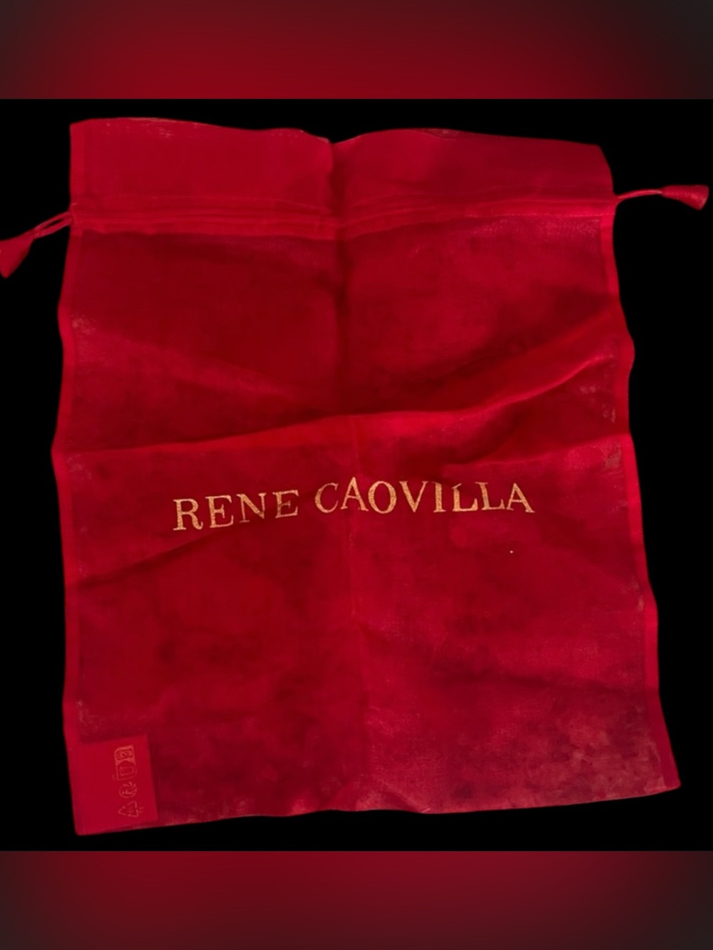 Rene Caovilla Red Velvet Bag